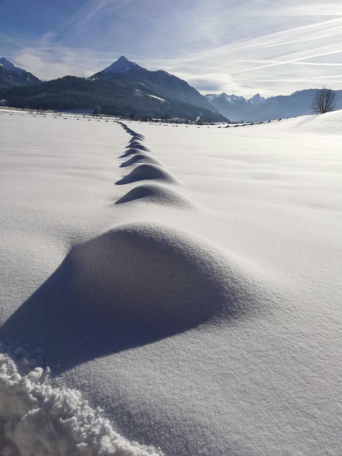 Oberfischergut Flachau Exteriér fotografie